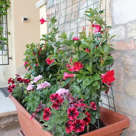 Tasso Canossa - Con Piscina * Lazise